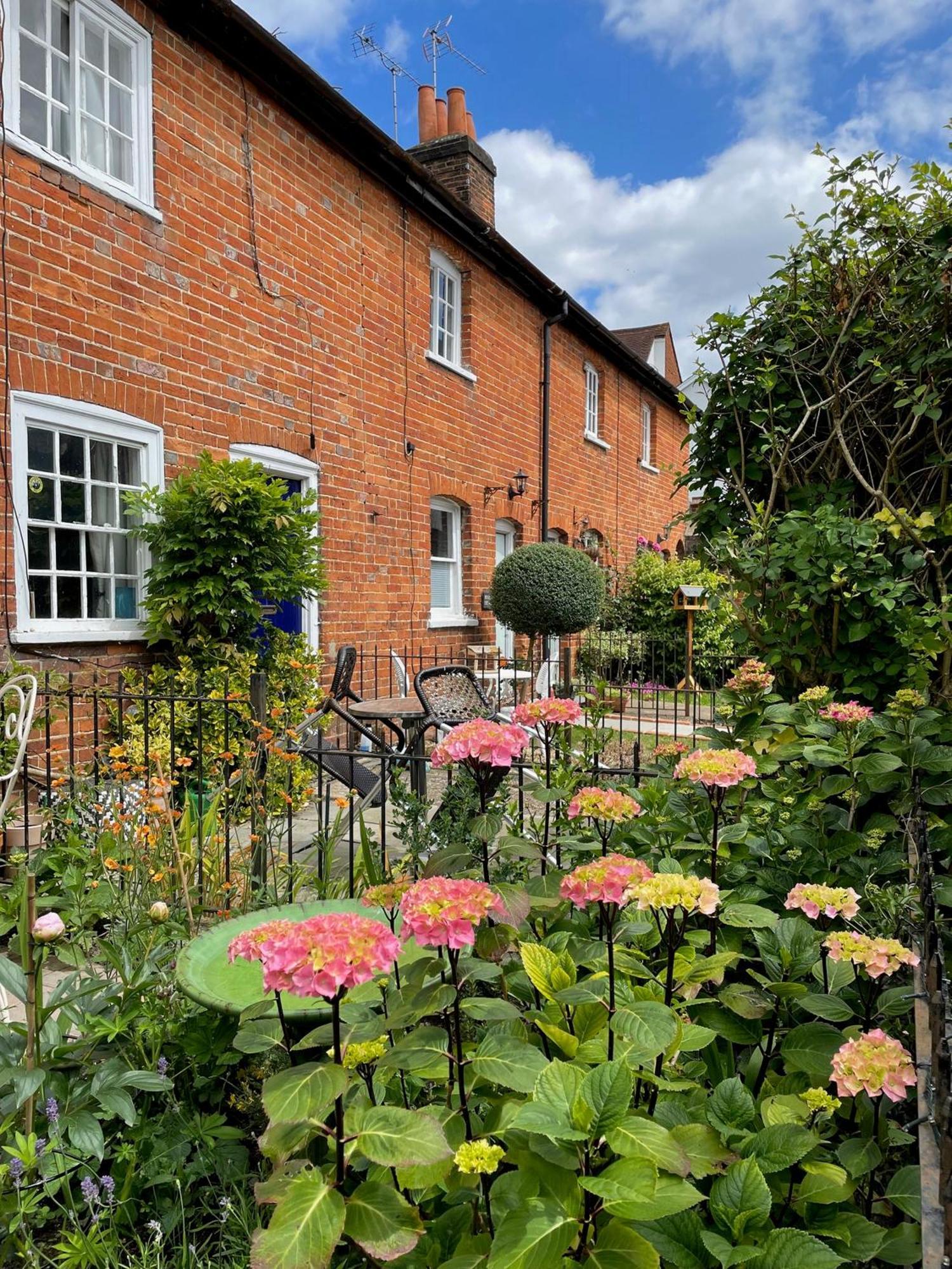 Historic 1bd In Heart Of Farnham Farm stay *
