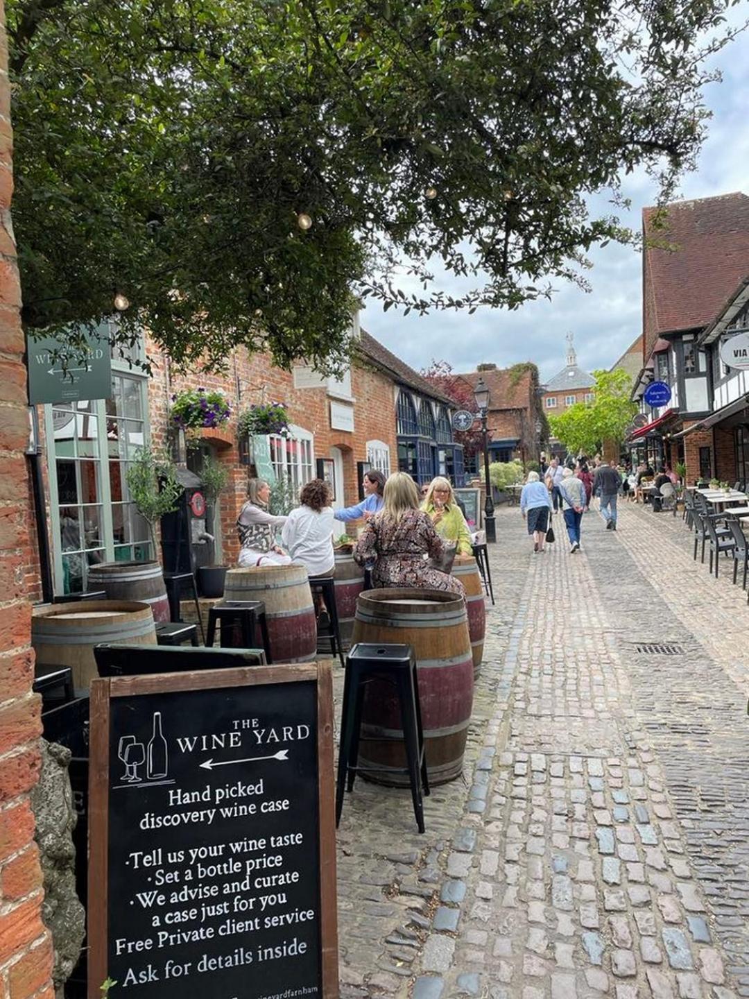 Historic 1bd In Heart Of Farnham Farm stay *