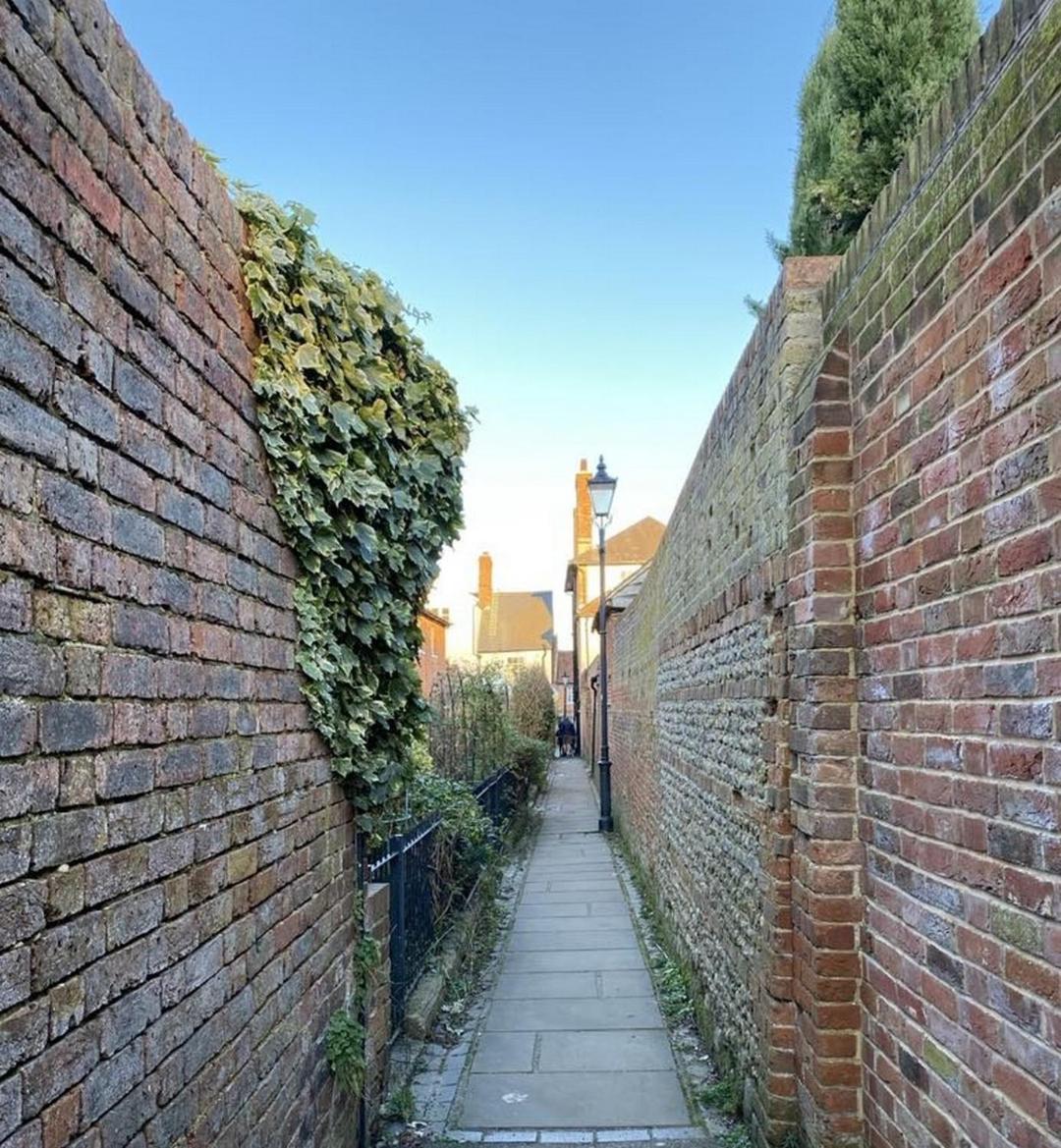 Historic 1bd In Heart Of Farnham Farm stay
